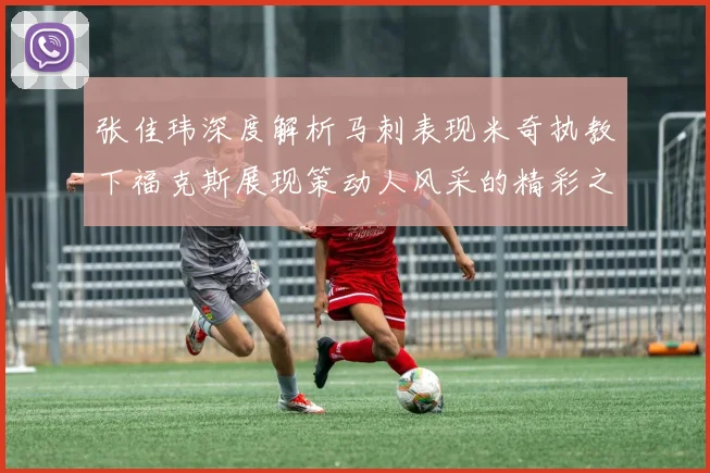 张佳玮深度解析马刺表现米奇执教下福克斯展现策动人风采的精彩之战